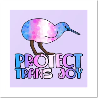 Protect Trans Joy Posters and Art